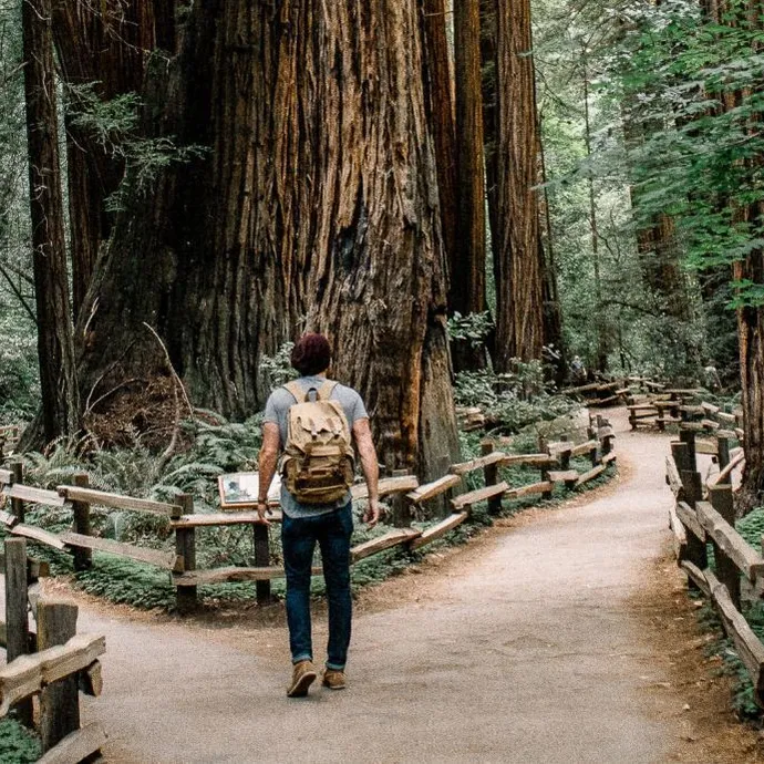 Loopbaancoaching bij Alles in Balans