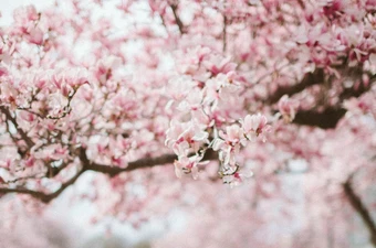 Kun je hooggevoeligheid begrijpen?