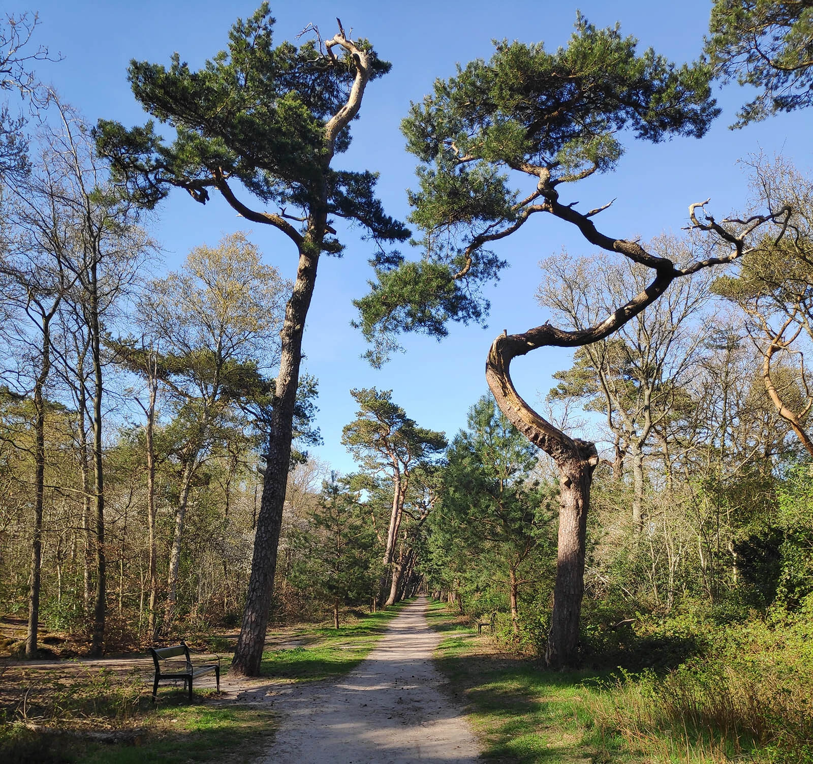 Ik doe maar wat (deel 2)