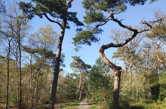 Ik doe maar wat (deel 2)