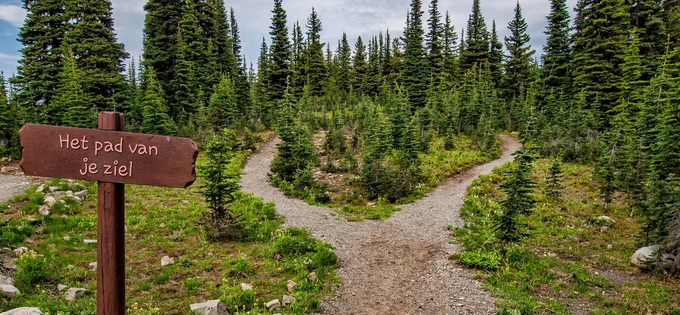 Je ziel als leidraad voor je leven