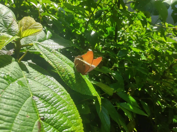 Seksuele communicatie