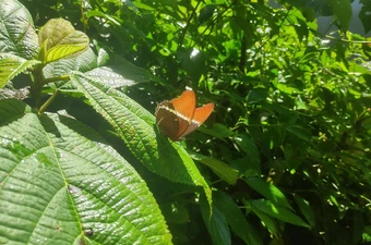Seksuele communicatie, de schuldvraag voorbij deel 2