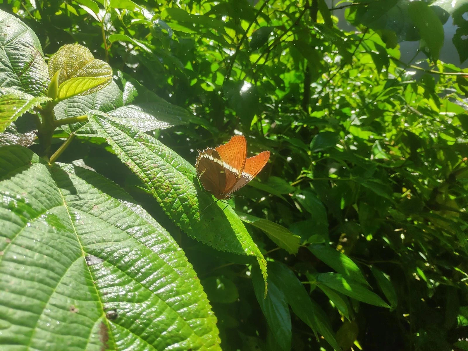 Seksuele communicatie, de schuldvraag voorbij deel 2