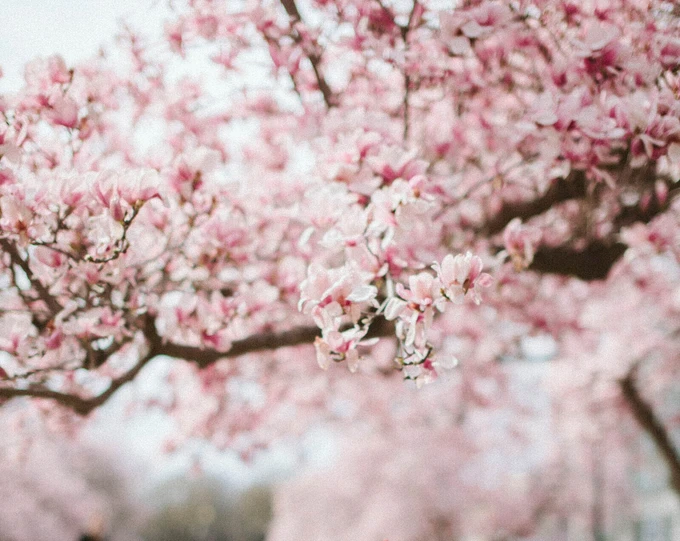 Kun je hooggevoeligheid begrijpen?