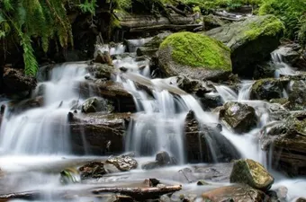 Wij houden van de weg van de minste weerstand