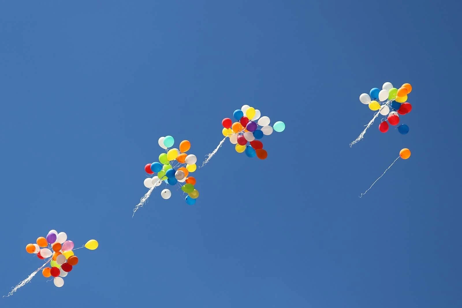 Dat eeuwige loslaten...