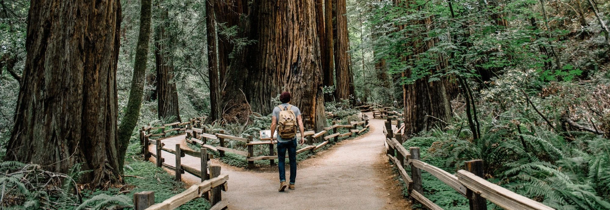 Loopbaancoaching begint bij jouw talenten