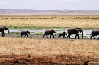 Durf jij af te wijken?