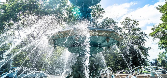 Behoefte aan schoonheid