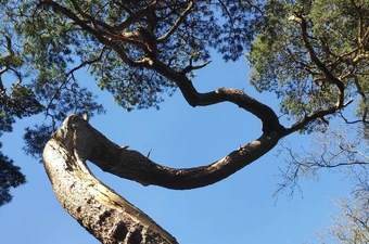 Ik doe maar wat (deel 1)