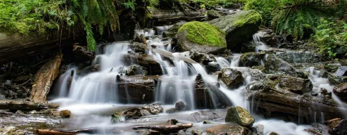 Durf jij te kiezen voor de weg van de minste weerstand