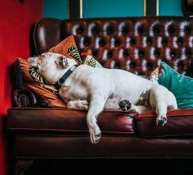 Coronacrisis als oefening in loslaten