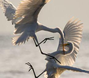 Ruzie maakt meer kapot dan je lief is