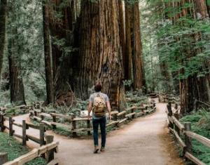 Een stem die zegt wat je moet doen?