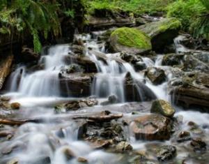 Wij houden van de weg van de minste weerstand