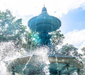 Als je niet zonder schoonheid kunt